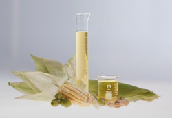 Bio lube Veg Oil 2